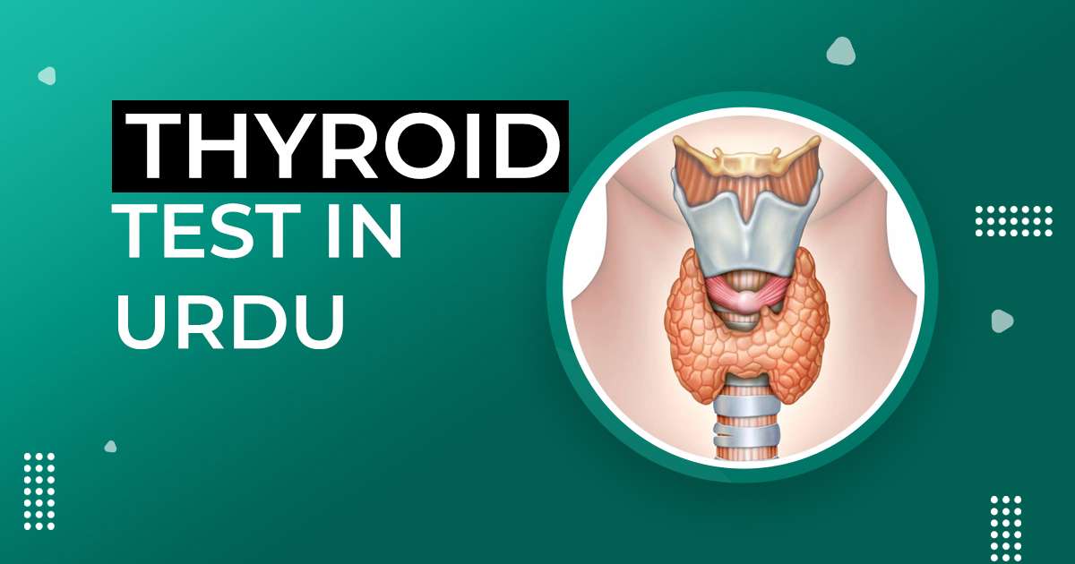 thyroid test in urdu