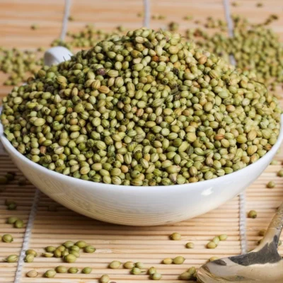 coriander dhaniya seeds dhaniya ke beej dr abdullah iqbal