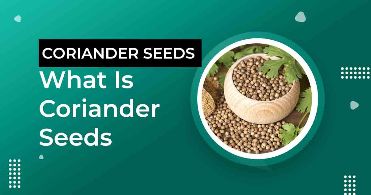 coriander seeds benefits