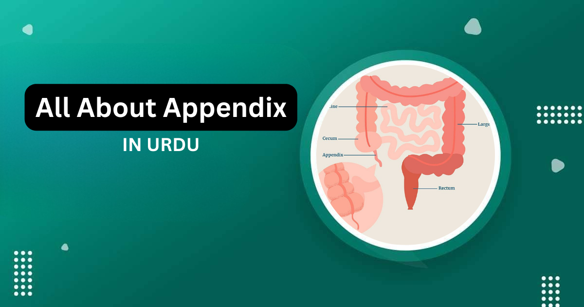 appendix in urdu