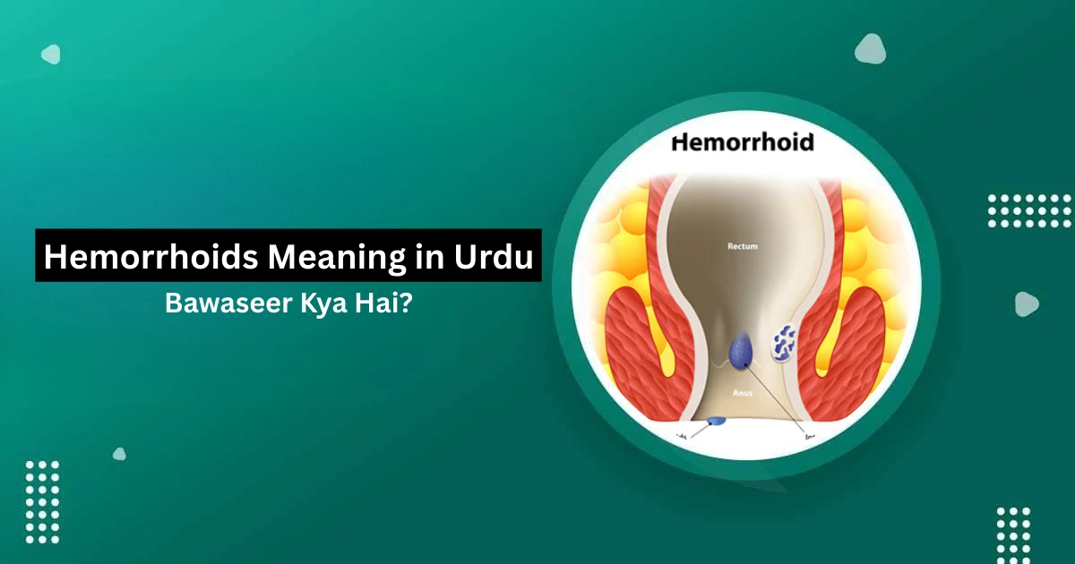 Hemorrhoids Meaning in Urdu